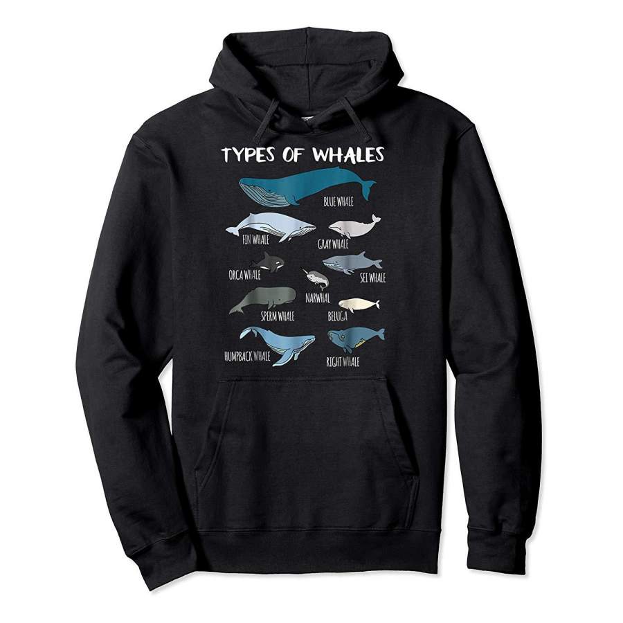 Types Of Whales Cute Ocean Mammals Guide T Shirt Hoodie Premium Tee