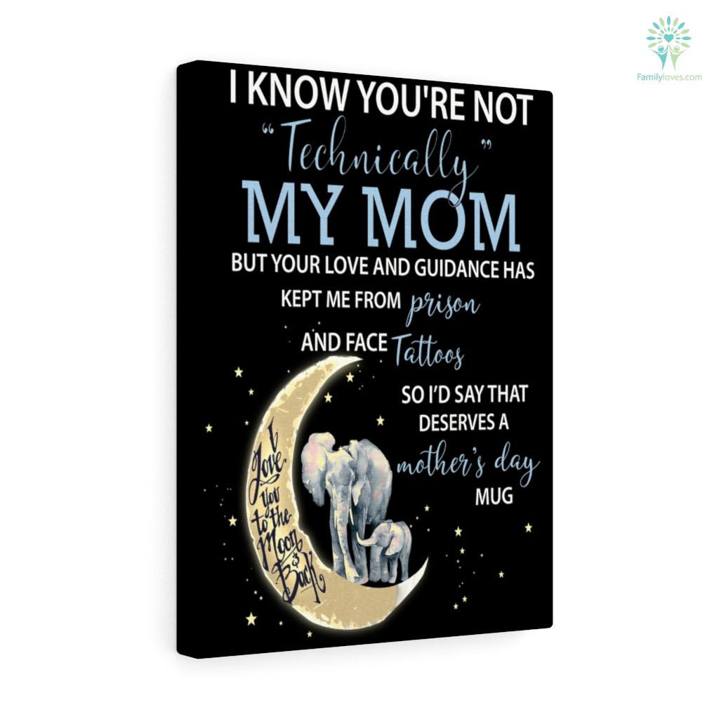 I Know Youre Not Technically My Mom Elephant Canvas