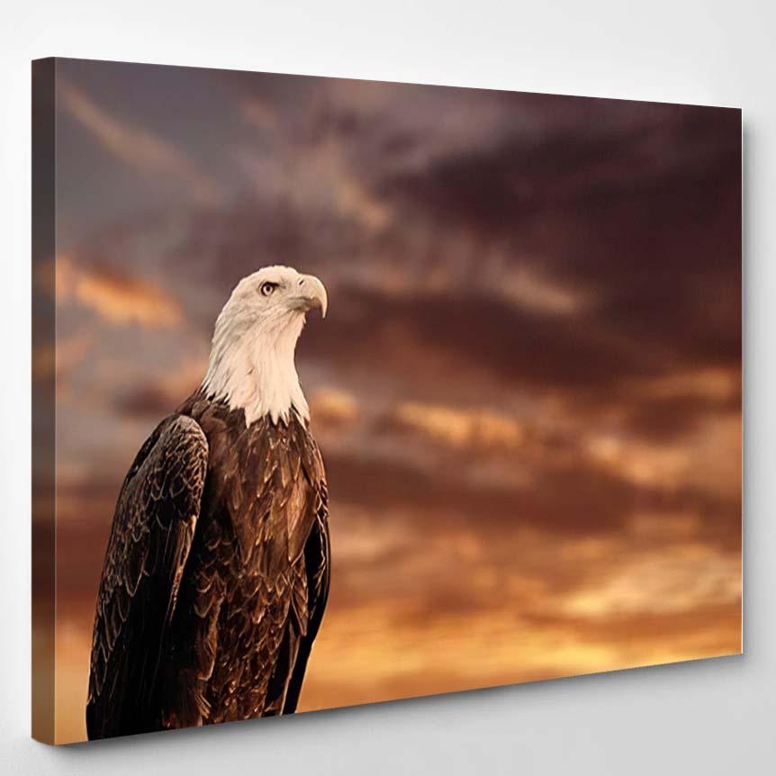 Quebec Qc Canada September 2012 Portrait – Eagle Animals Canvas Print