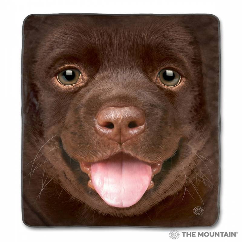 Big Face Chocolate Lab Puppy CLA1712745F Sherpa Fleece Blanket