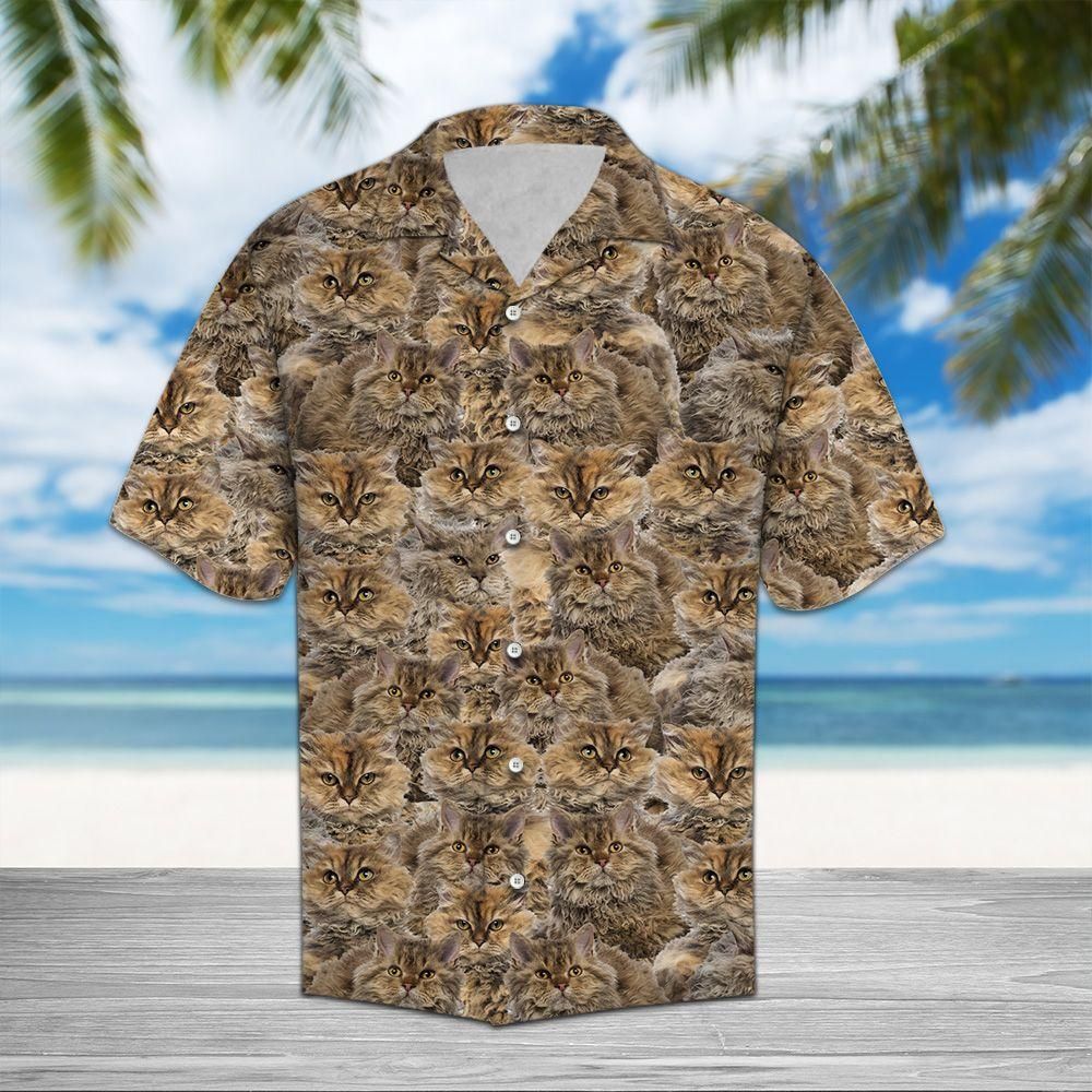 Selkirk Rex Aloha Hawaii Shirt Colorful Short Sleeve Summer Beach Casual For Men And Women Ha45221