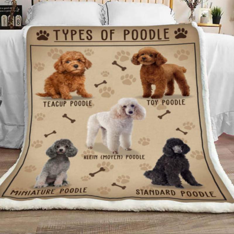 Poodle Dog Sherpa Blanket JR1701 77O42