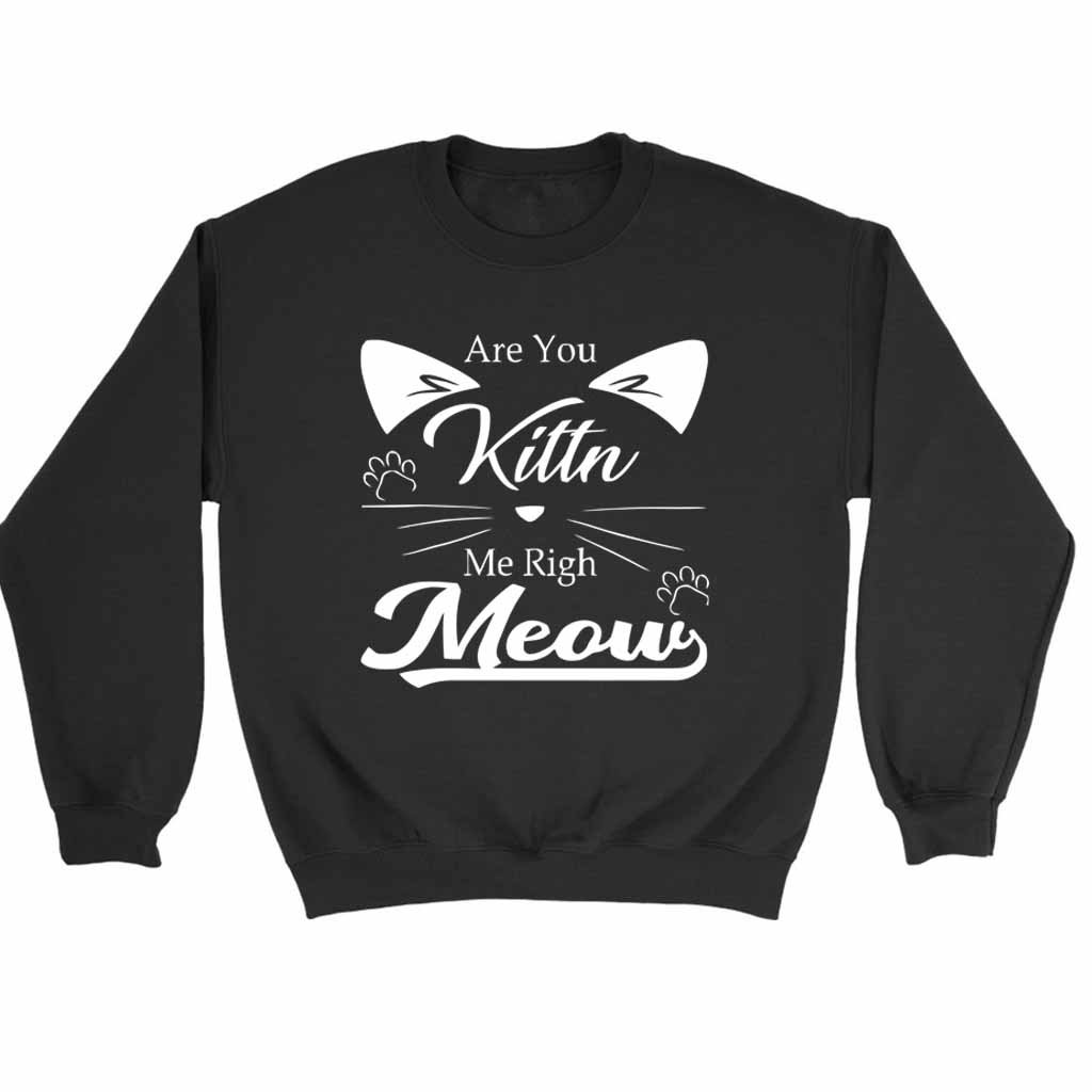 Are You Kitten Me Right Meow Kitty Sweatshirt Sweater