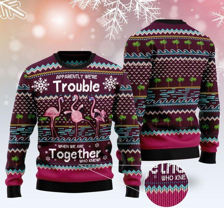 Apparently Were Trouble When We Are Together Who Knew Ugly Christmas Sweater | For Men & Women | Adult | Us6193