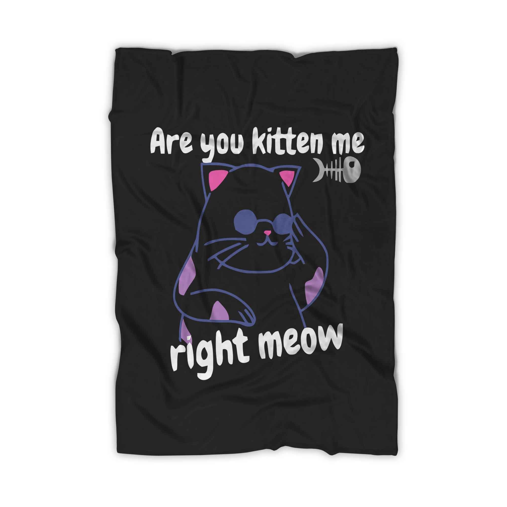 Are You Kitten Me Right Meow Join Blanket