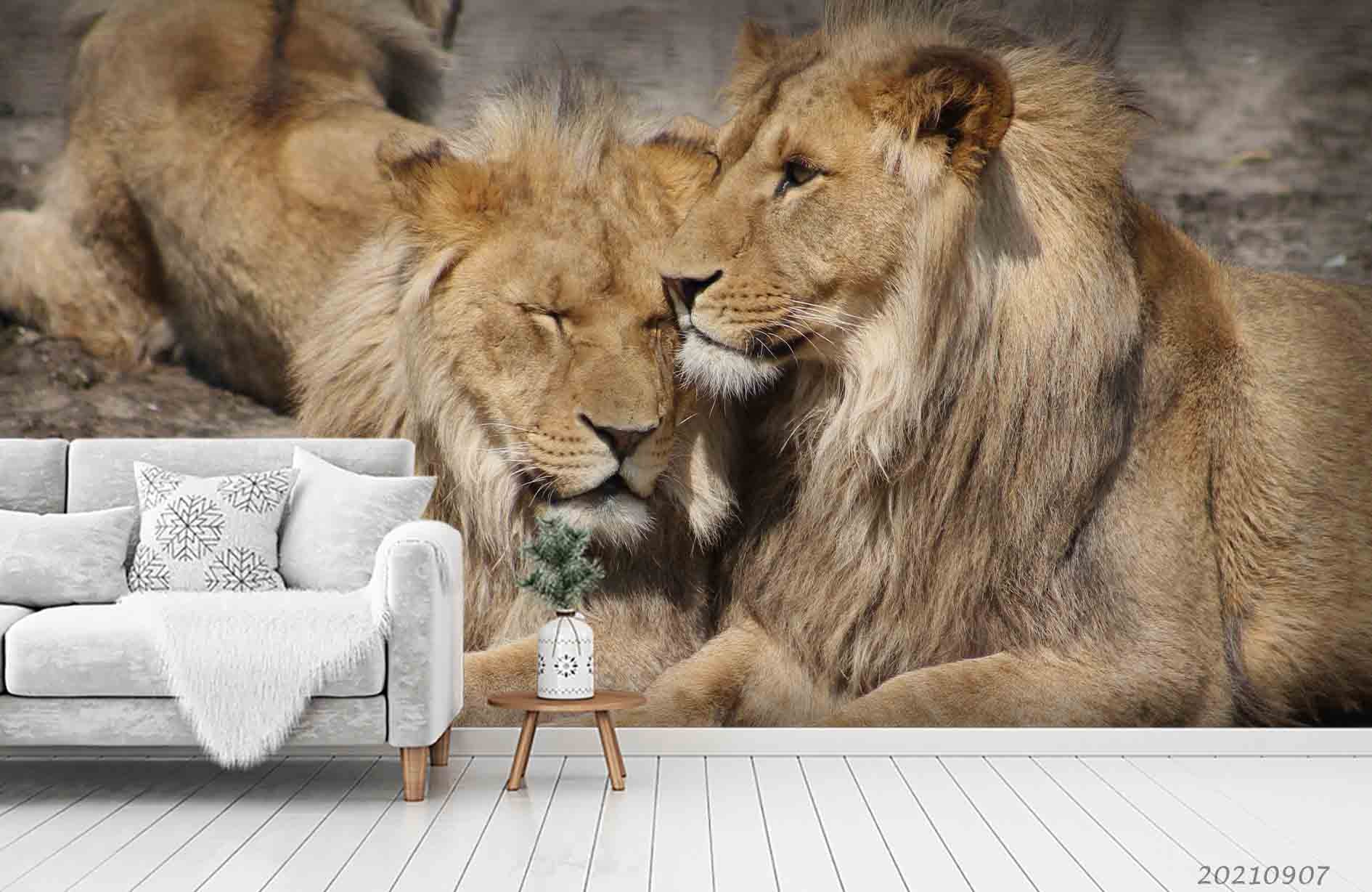 3D Wild Animal Lion Wall Mural Wallpaper Lqh 43