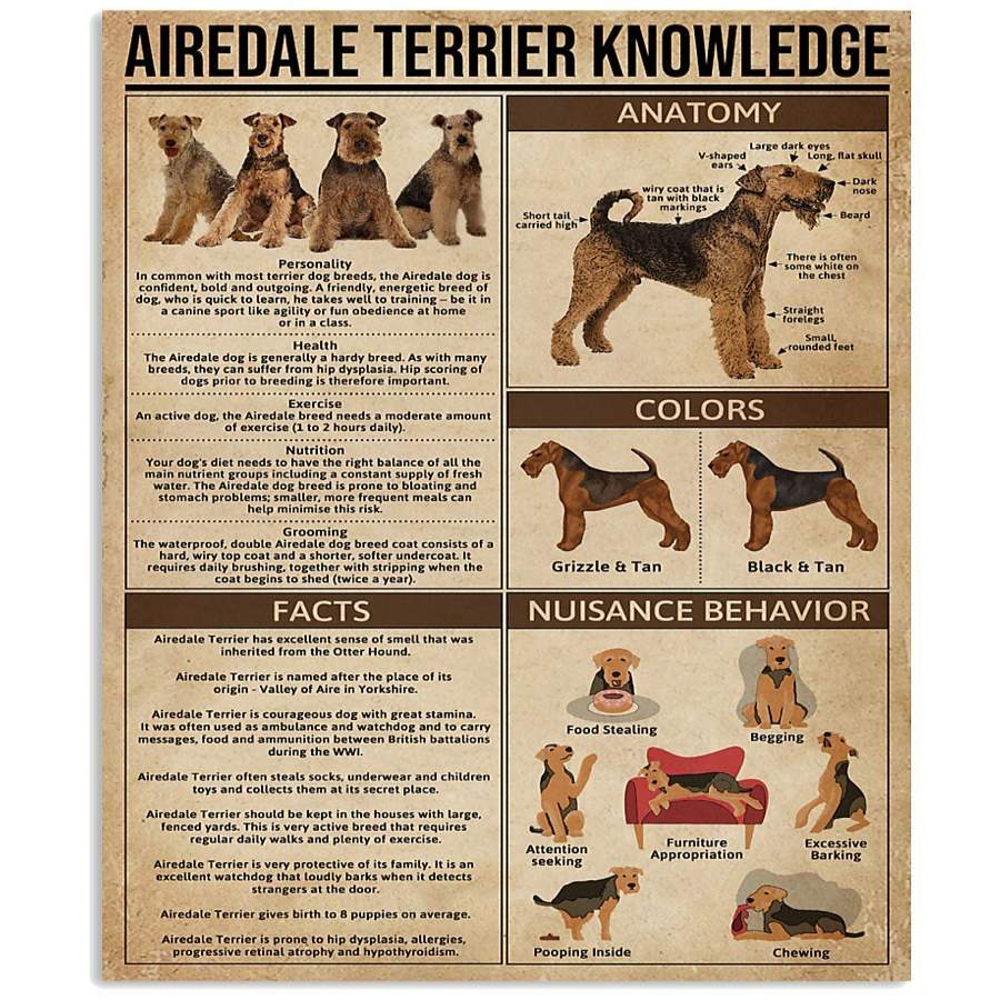 Airedale Terrier Knowledge Gifts For Airedale Terrier Lovers Vertical Poster