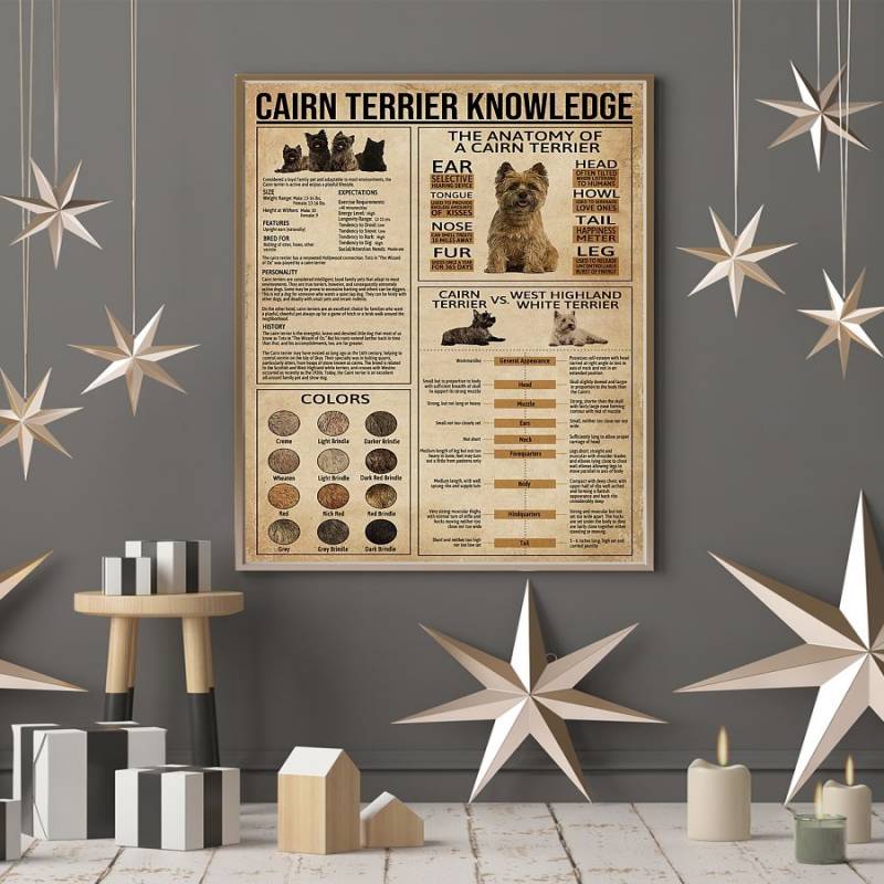 Cairn terrier knowledge poster – BBS