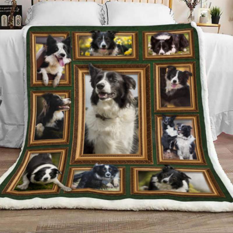 Border Collie Dog Shrepa Blanket JR1602 90O41