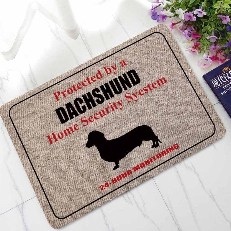 Apayprints – Dachshund 3D All Over Printed Doormat