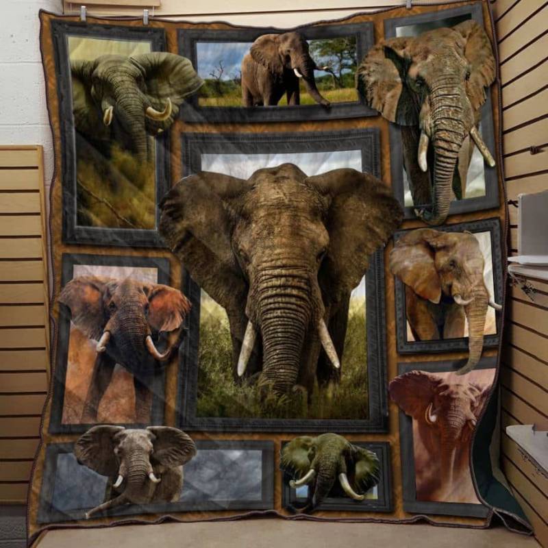 Elephant Wild Life Wander Awesome MYT728 Quilt