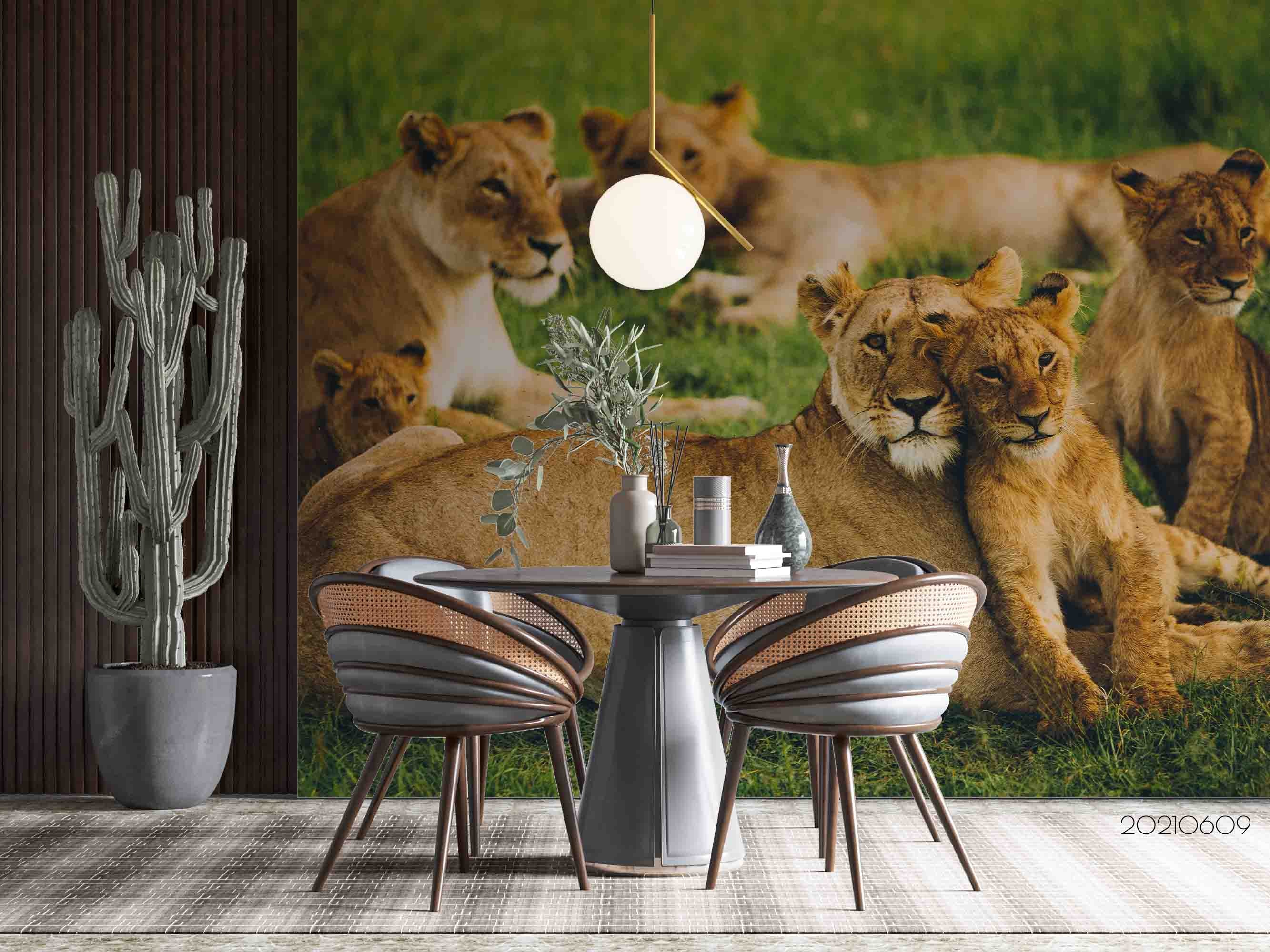 3D  Africa Grassland Lion Wall Mural Wallpaper Sww1691