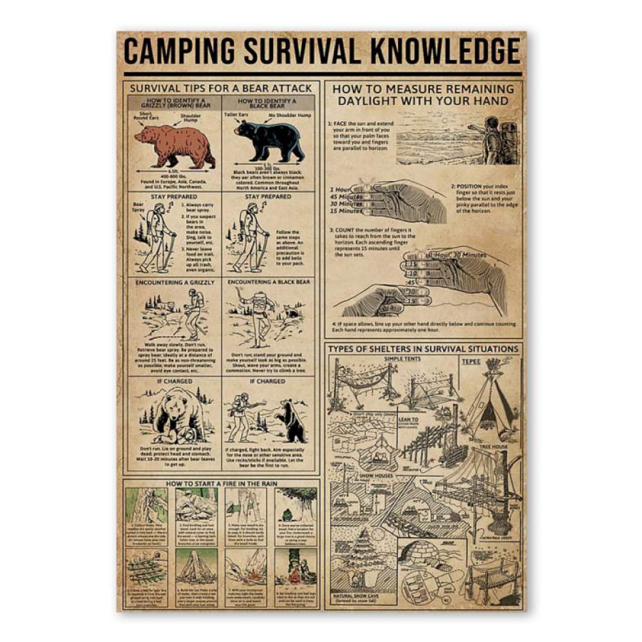 Camping Survival Knowledge Custom Gift For Camping Lovers Poster