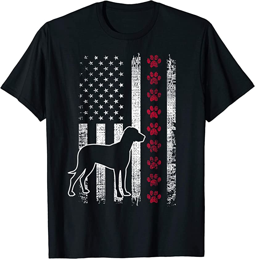 Vintage Retro USA Patriotic American Flag Great Dane Dog T-Shirt