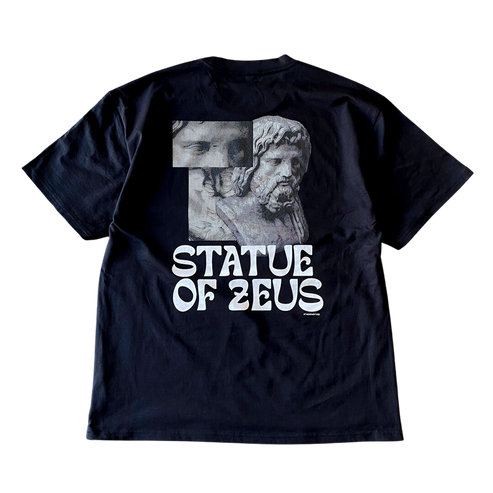 Statue of Zeus Tee Shirt Outfit