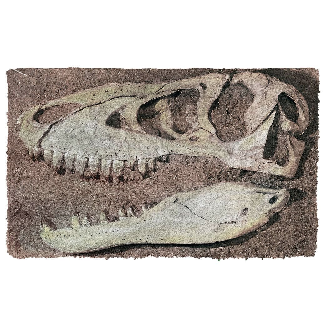 Alohazing 3D T-Rex Head Fossil Doormat