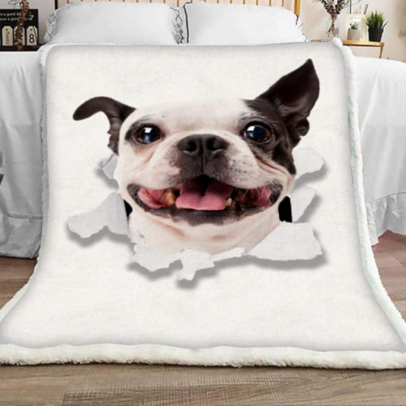 Boston Terrier Dog Sherpa Blanket JR1802 69O57