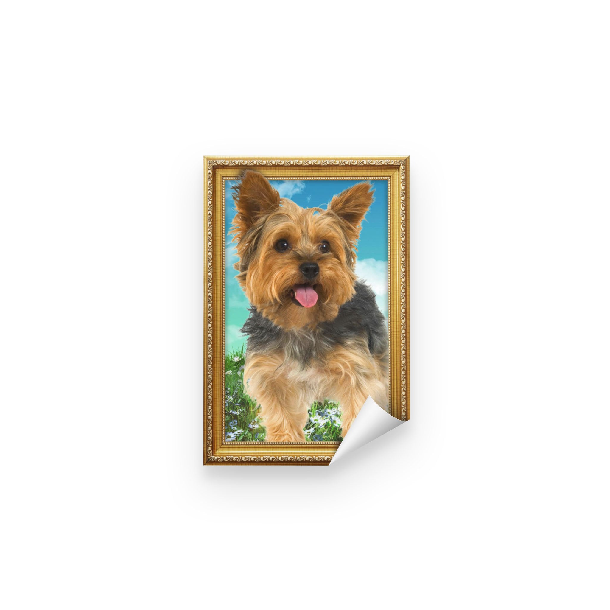 ln 5 yorkshire terrier step out Peel & Stick Poster