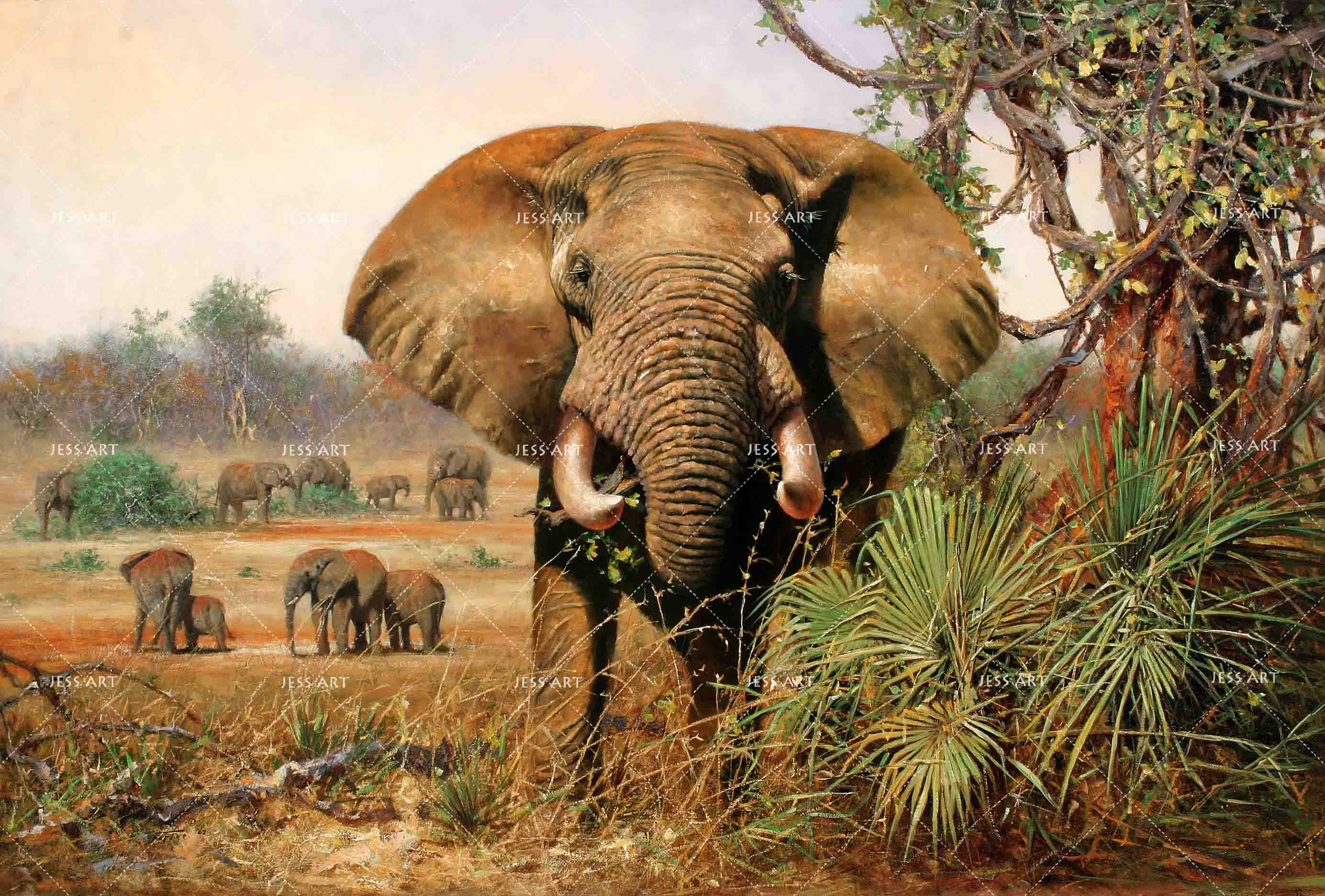 3D African Steppe Elephant Wall Mural Wallpaper 05