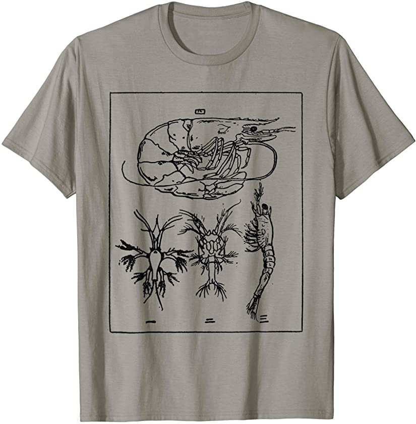 TIGER PRAWN Old illustration & Text Black T-Shirt