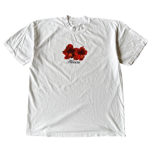 Red Hibiscus Tee Shirt Outfit