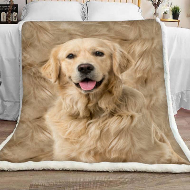 Golden Retriever Dog Sherpa Blanket JR1003 73O43