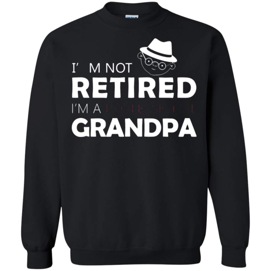 AGR I_m Not Retired I_m A Professional Grandpa Sweatshirt