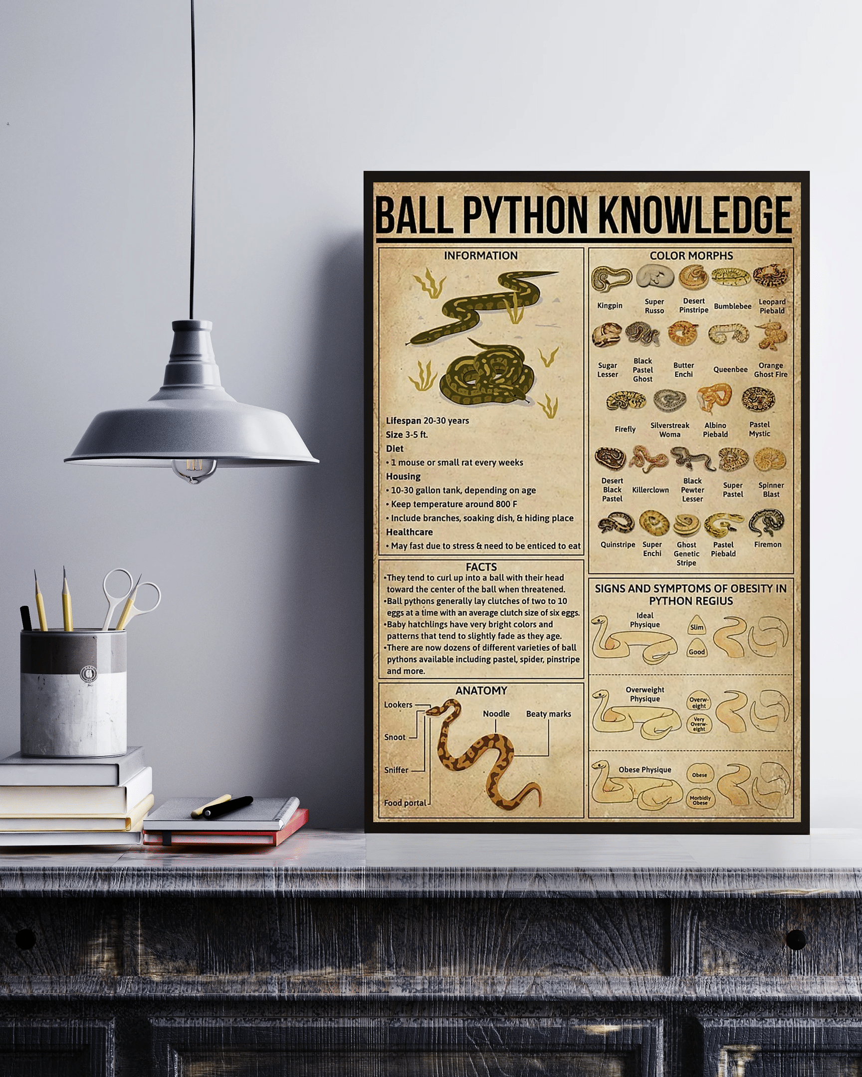 Ball Python Knowledge Canvas Poster Wall Art