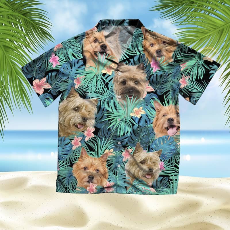 Felacia Norwich Terrier Summer Leaves Hawaii Shirt Ha61502