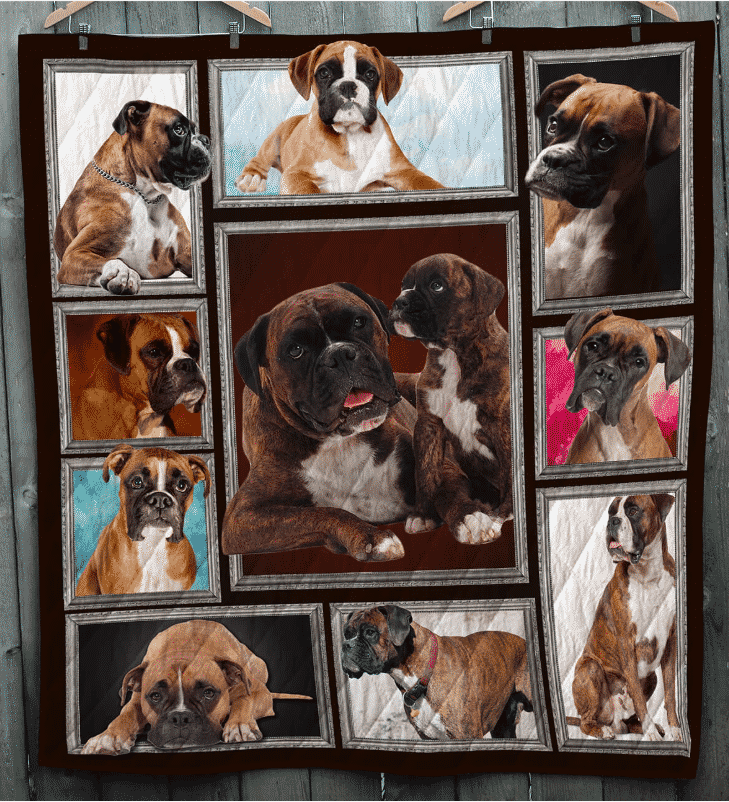 Boxer Cute Puppy Boxer Nice Dog Quilt Blanket