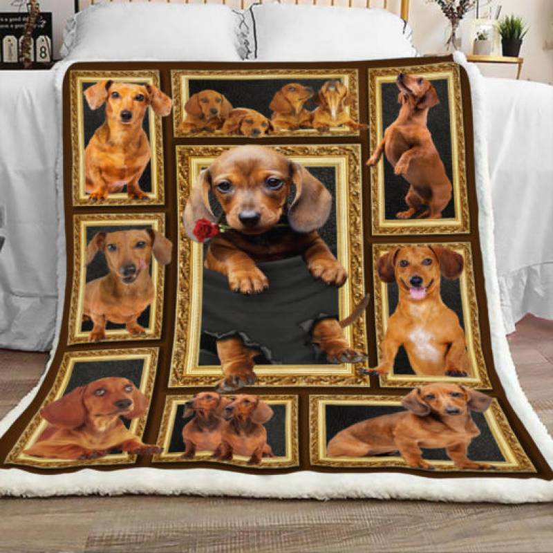 Dachshund Dog Sherpa Blanket JR1001 78O42