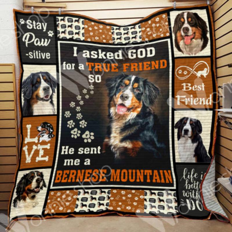 Bernese Mountain Dog Blanket DCB1701 69O51