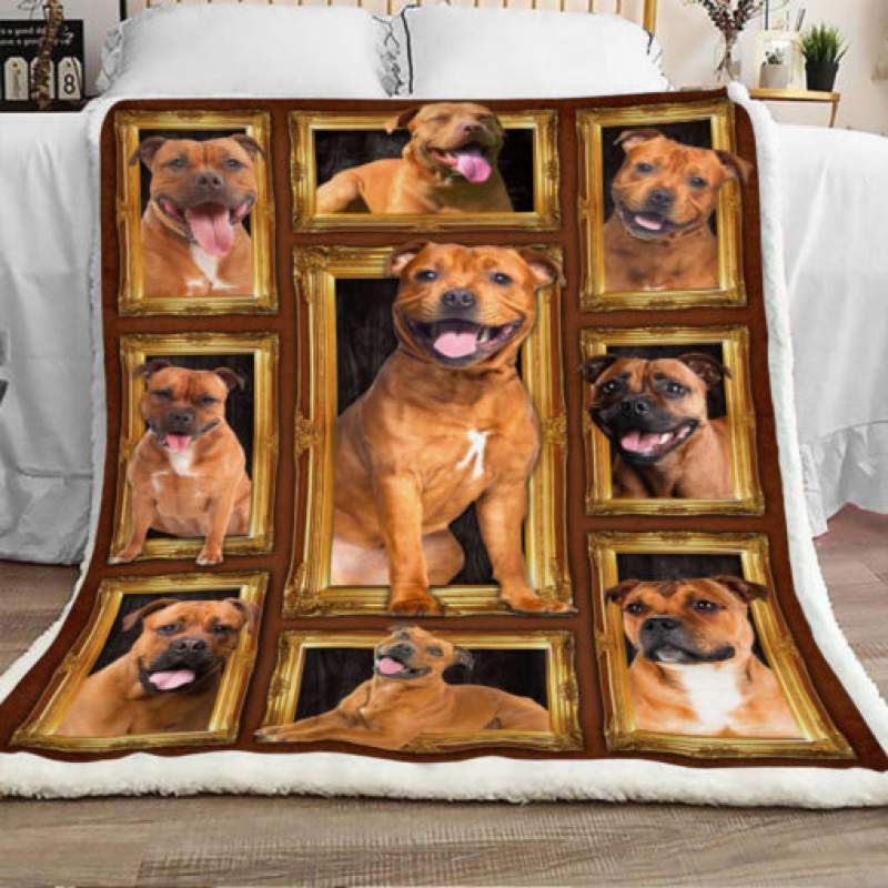 Staffordshire Bull Terrier Dog Sherpa Blanket JR1503 69O50