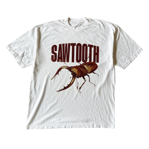 Sawtooth Beetle Tee Shirt Outfit