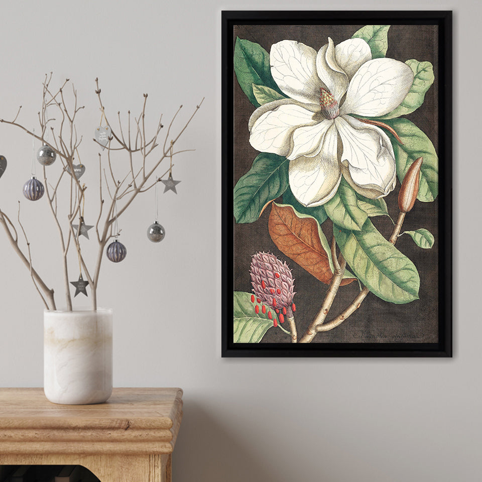 Laurel Tree (Magnolia Altissima) Framed Canvas Print – Canvas Painting, Canvas Art, Wall Art, Wall Decor