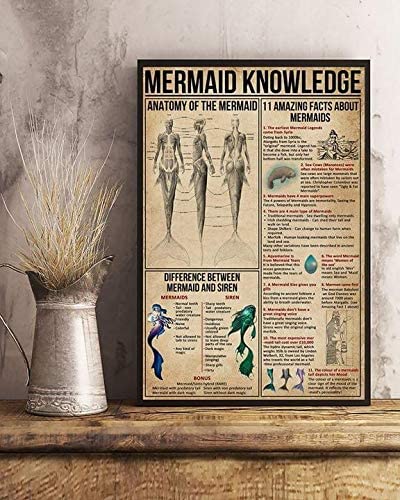 Mermaid Knowledge Anatomy Of The Mermaid 11 Amazing Facts About ...