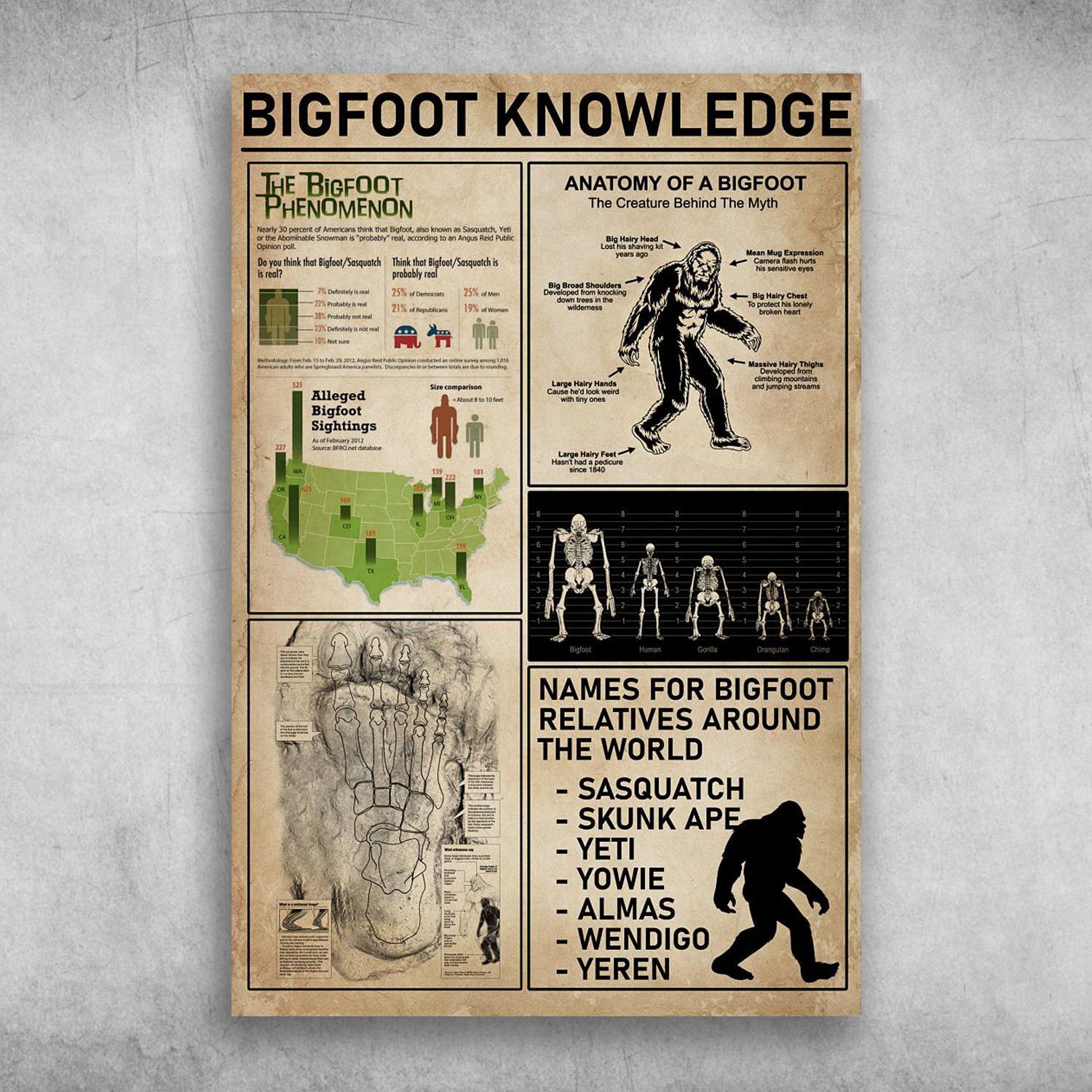 Big Foot Knowledge The Big Foot Phenomenon Poster Print Wall Art Canvas Wall Decor