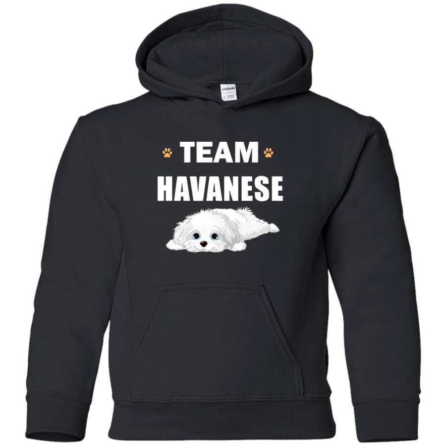 AGR Team Havanese Youth Pullover Hoodie