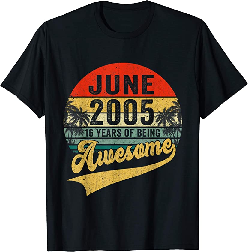 Vintage Retro June 2005 16th Birthday Gifts 16 Years Old T-Shirt