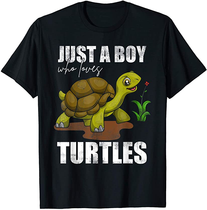 Pet Animal Boys Kids Gift Sea Just A Boy Who Loves Turtles T-Shirt