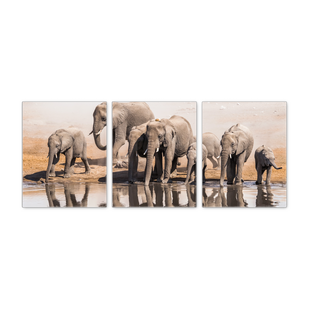 16×20 – Elephants at the Watering Hole Canvas Wall Art – Set Of 3