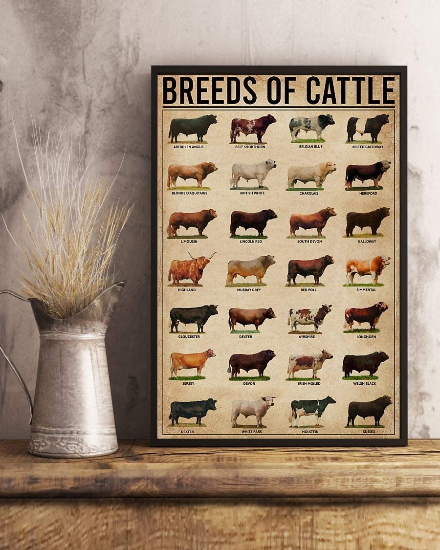 Breeds Of Cattle Poster