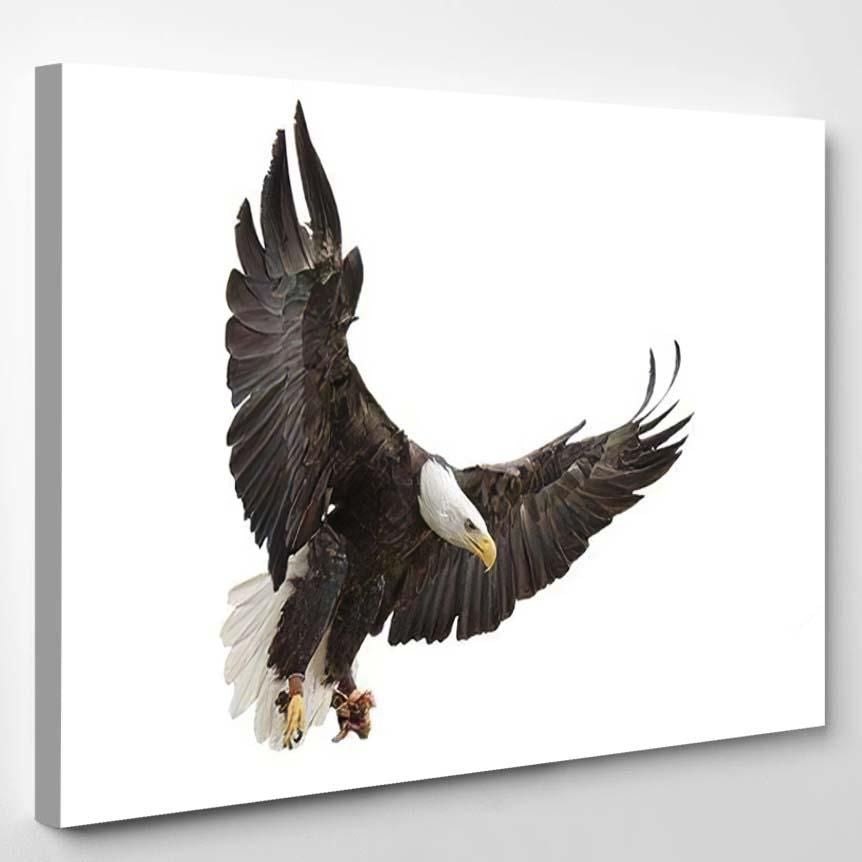 North American Bald Eagle On White – Eagle Animals Canvas Art Wall Decor Christmas Gift Ideas