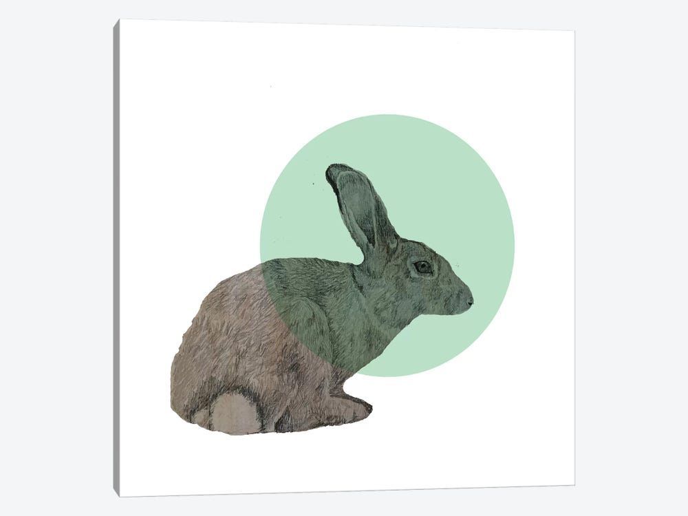 Rabbit Canvas Poster 8″x12″ 12×18″ 18″x26″ 24″x36″ 30″x45″