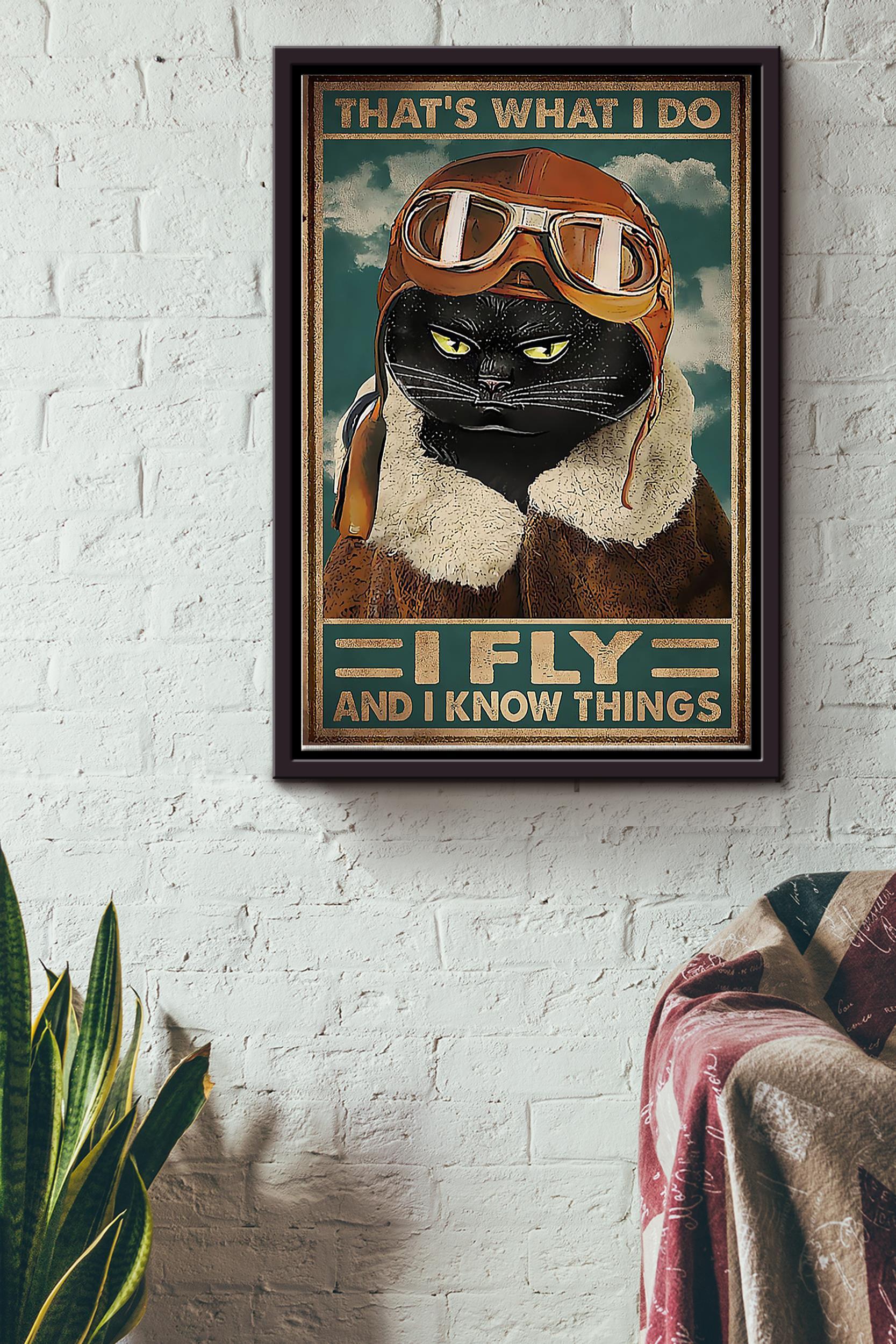 Black Cat Pilot Thats What I Do Ly And Know Things Poster – Aviation Knowledge Wall Art – Gift For Flight Engineer Flight Attendants Pilot Black Cat Lover Framed Matte Canvas