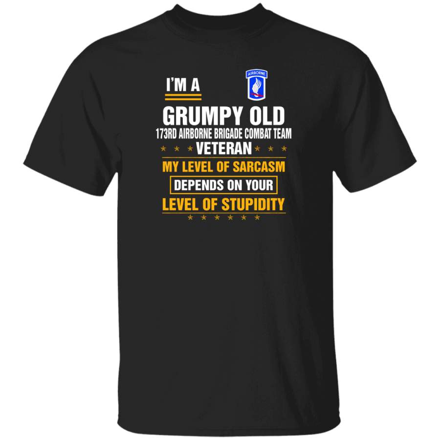 Grumpy Old 173rd Airborne Brigade Combat Team Veteran T-Shirt Veterans Day Christmas Gift Mug