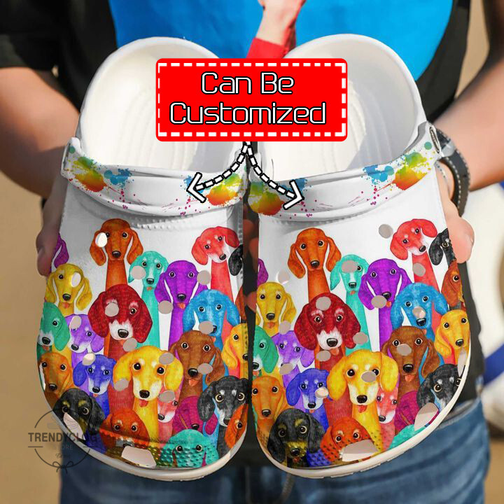 Dog Dachshund Colorful Clog Shoes