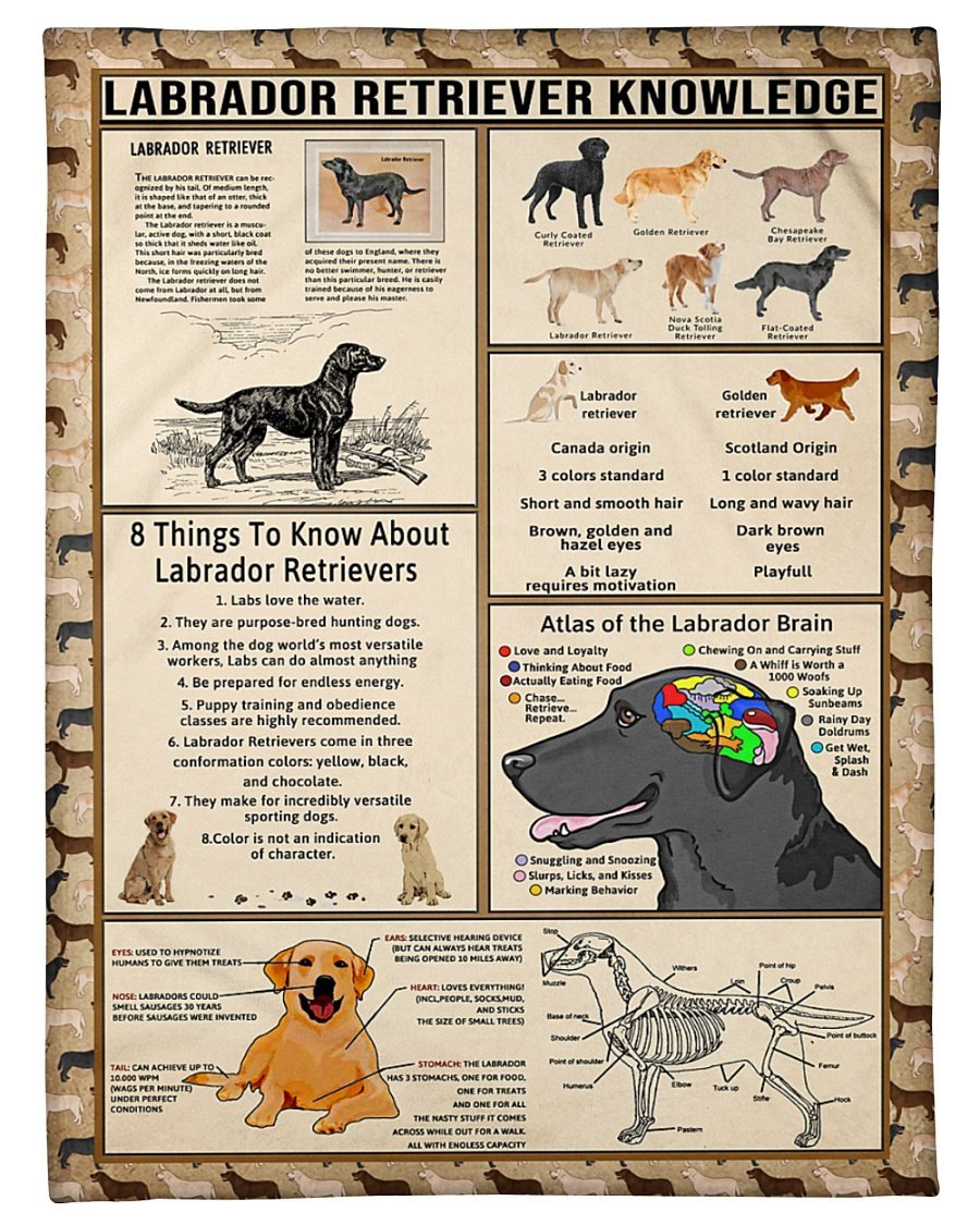 Vintage Labrador Retriever Knowledge Fleece Blanket Print 3D, Unisex, Kid, Adult