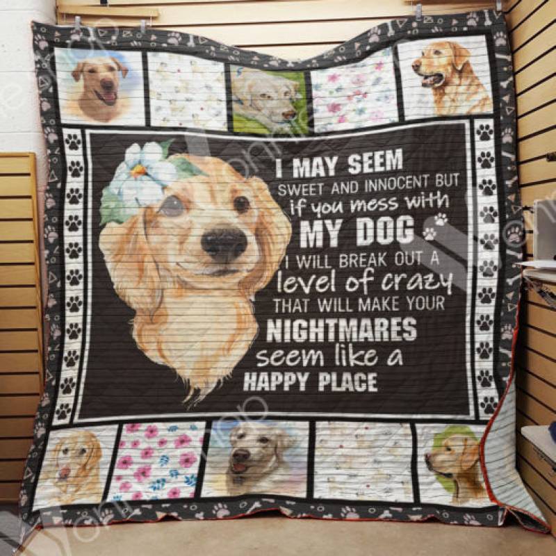 Labrador Retriever Dog Blanket AU0201 82O39