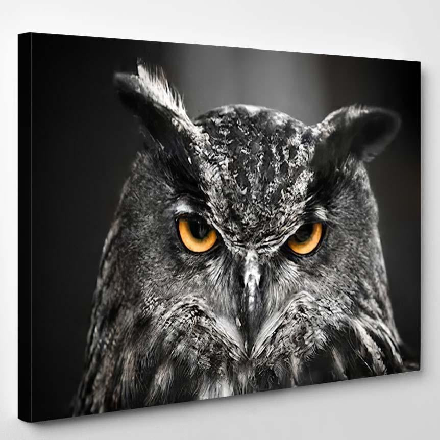 Portrait Eagle Owl 2 – Eagle Animals Canvas Print